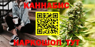 сатива Краснодар
