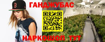 сатива Краснодар