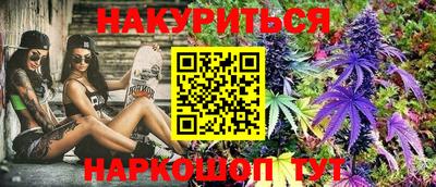 сатива Краснодар