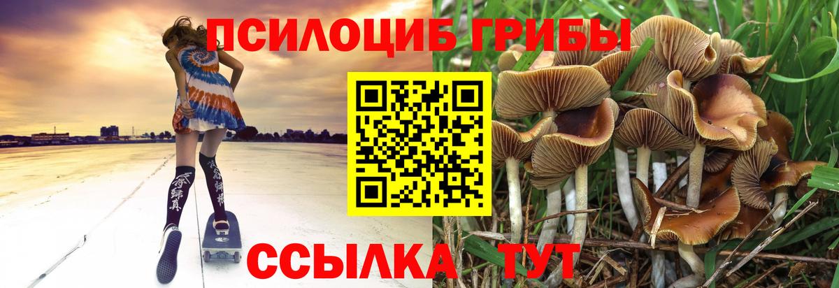 Псилоцибиновые грибы MAGIC MUSHROOMS  Вход с VPN  Киров 